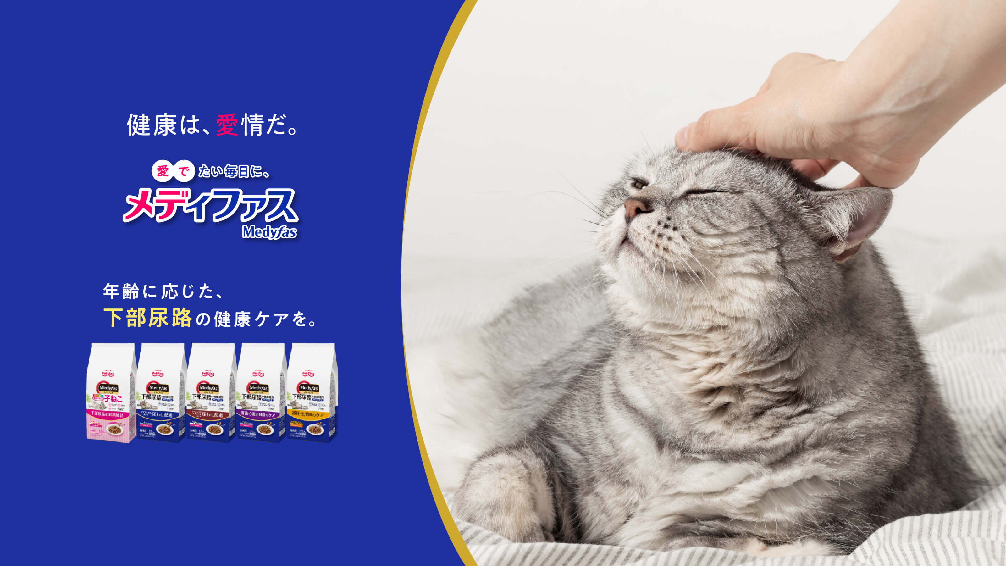 メディファス